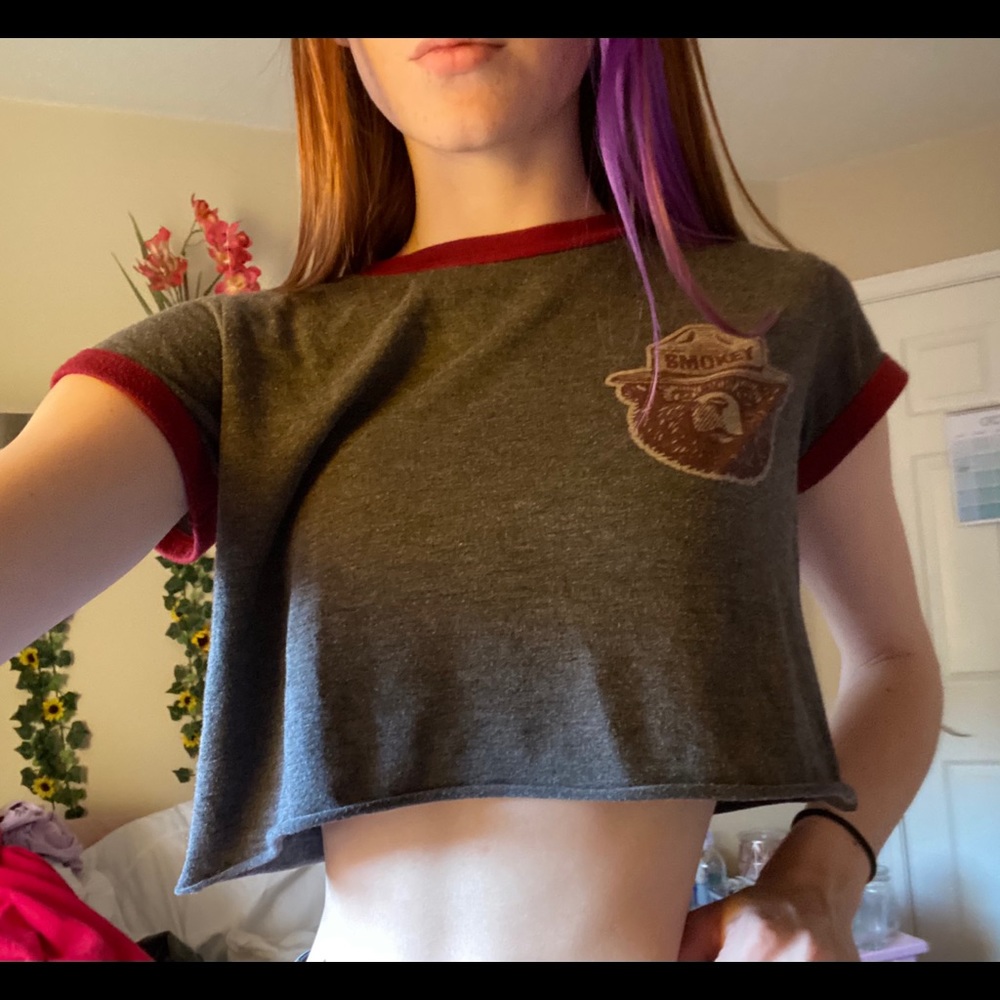 Smokey the bear crop top